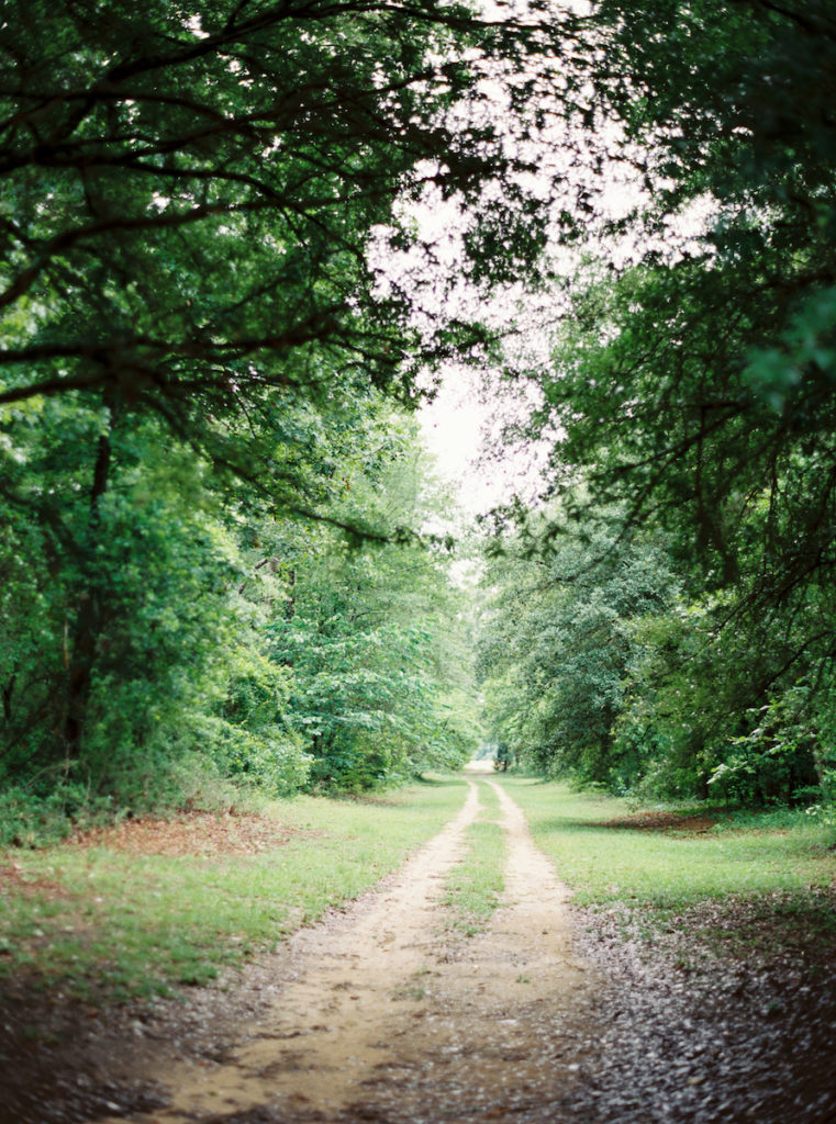 Dirt road surrounded by green trees
