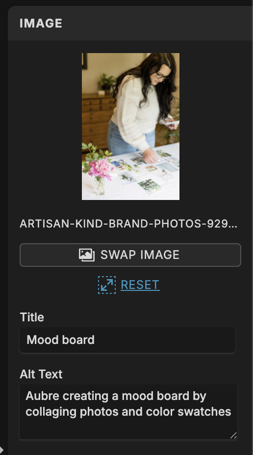SEO basic element example: image title and description setting on Showit.